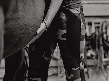 244-©badasshorse.photography-5.7.24-shootingreise-lara.jpg