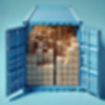 Blue30 ISO  container unloading