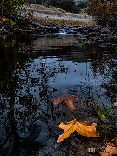 homer ranch-8.jpg