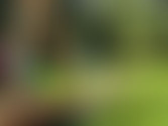 Skončilo září… Už? 