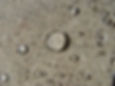 Liquid Sealer.jpg