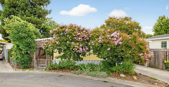 ROCKY POINT_edited_edited_edited.jpg