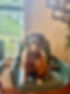 IMG_1648.jpeg