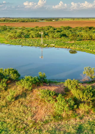DJI_0564-01.jpeg