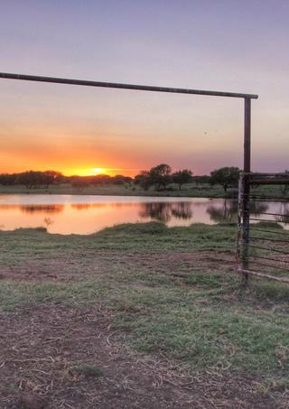 DJI_0435-01.jpeg