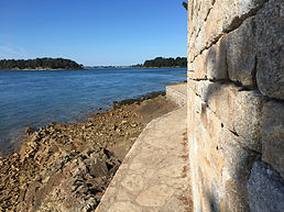 IMG_5308.jpeg