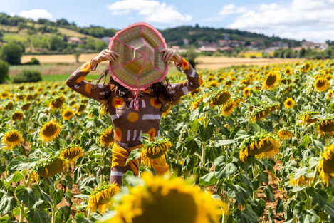 Tournesols-3