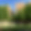 Thumbnail: 50+ Seeds Bald Cypress