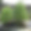 Thumbnail: 50+ Seeds American Larch (Larix Laricina)