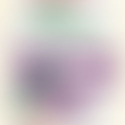 3 Ways to Use Tea Bags to Sprout Seeds