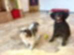 oreo and vanna.jpg