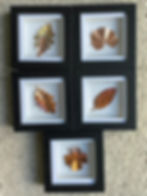 Framed Copper Leaves