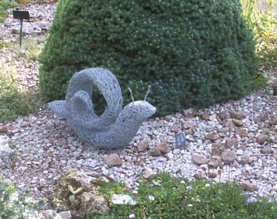 Wirework extra large Snail