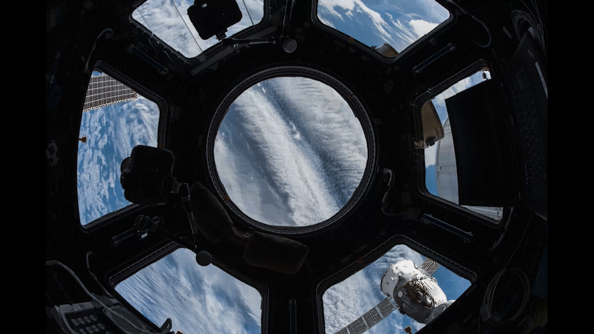 58D0D12D-F0C6-4831-B980-AD978A42B578.gif