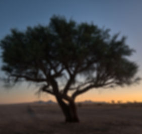 AdobeStock_210080217.jpeg