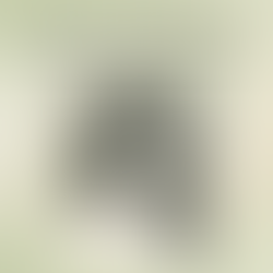 Pamela Tomblin Rogers