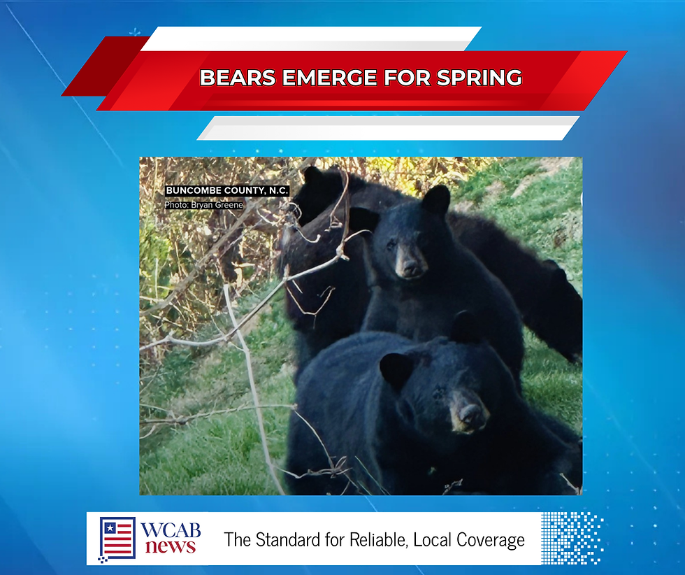 Flowers, Pollen and Bears…Oh my!!