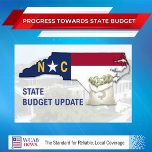 Progress towards State Budget