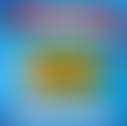 Bear Sighting Turns Heads in Rutherfordton