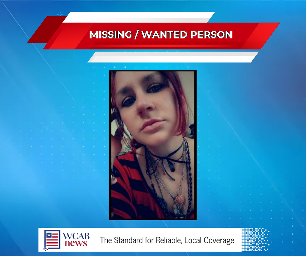 Missing/Wanted Person