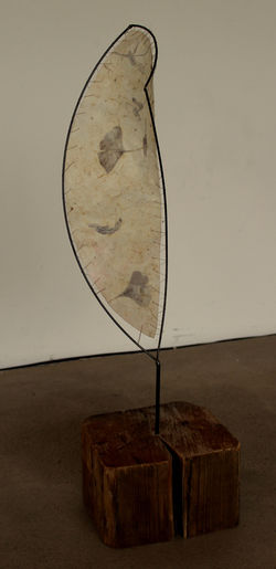 Objekt Graz. 2 Ansicht 1