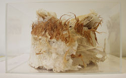 Das Buch des Königs 2