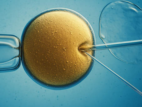 (הפריה חוץ גופית) IVF