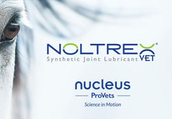 NoltrexVet-Nucleus-ProVets-Horse-Arthritis-1200x675-Home_edited