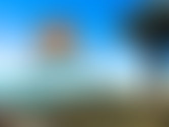 The Beach Is Calling!