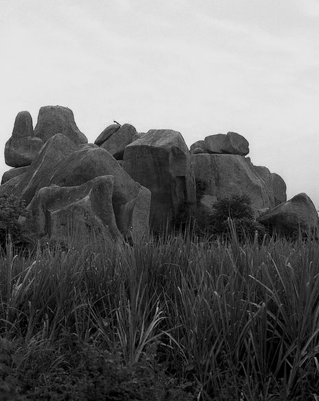 img205.jpg