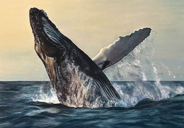 breaching-whale-resonance-wildlife-art.jpg