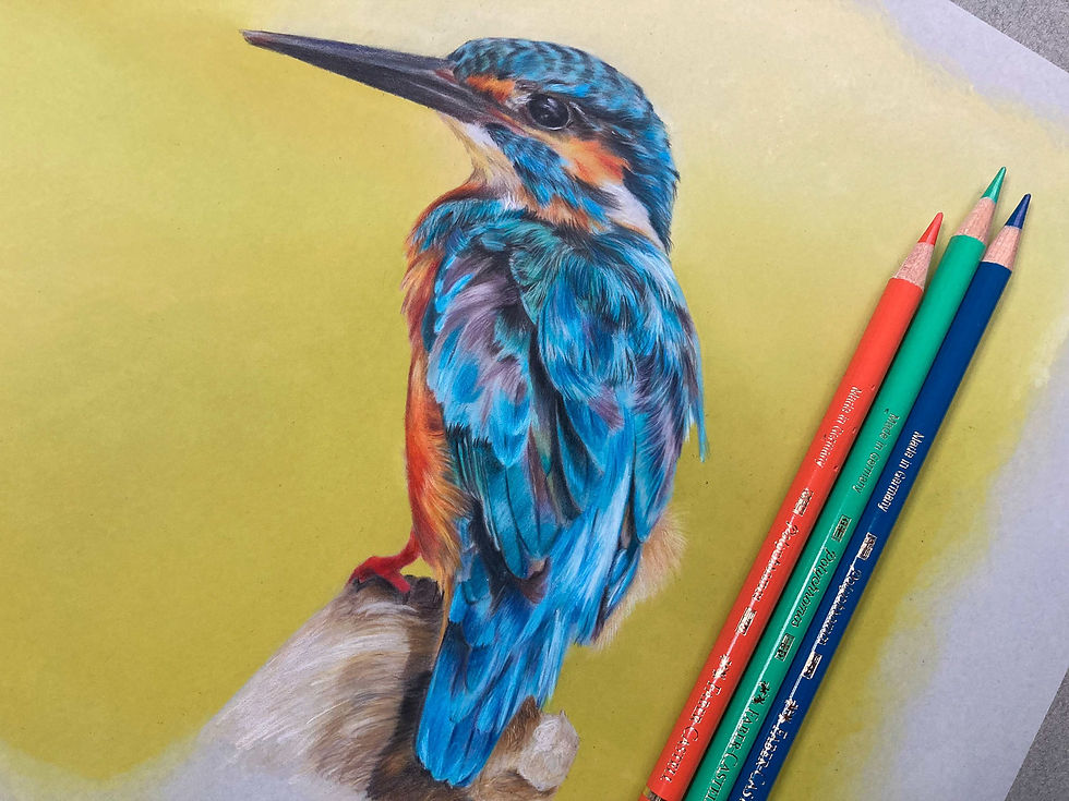 Thumbnail: Close-up of the kingfisher artwork with artist's materials
