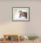 Thumbnail: Colourful framed fox art in a child's playroom