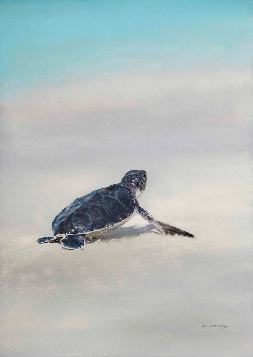 Thumbnail: The Return - Sea Turtle Hatchling Print