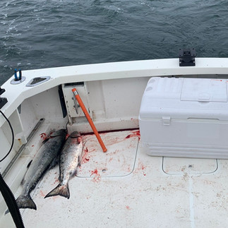 winter chinook fishing
