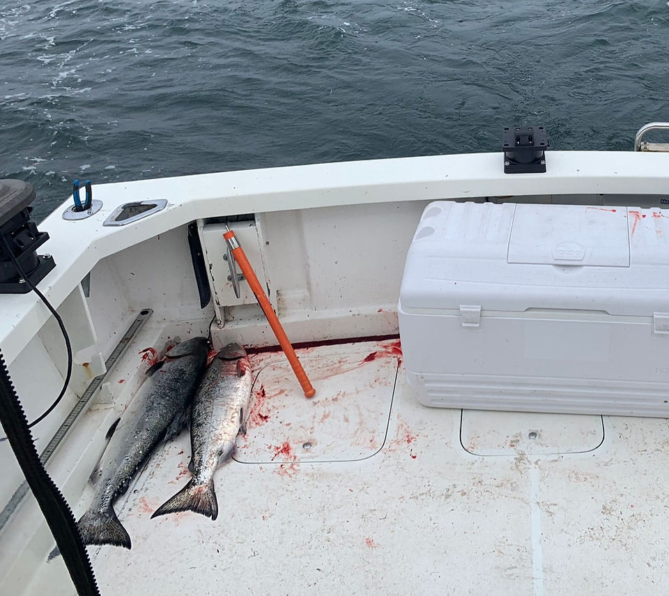 winter chinook fishing