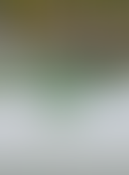 Herring Spawn Barkley Sound