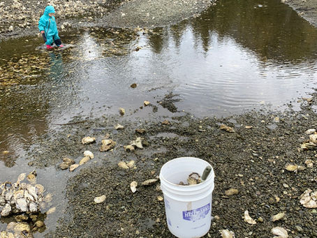 February Fishing Ucluelet