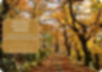 retraite_bien_etre_ardeche_automne_2025_stage_developpement_personnel_yoga_pilates_meditat