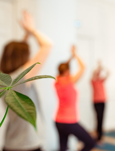 cours_de_yoga_lyon_individuel_groupe_entreprise_collectif_seminaire_www.kinitro.fr_