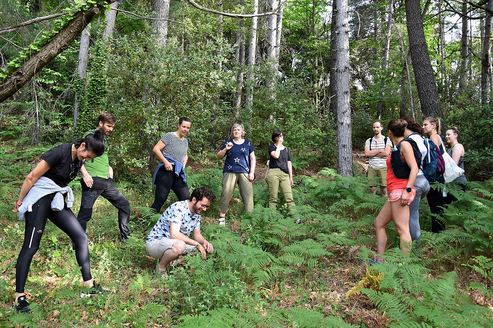 sortie_bain_de_foret_shinrinyoku_baindeforet_ardeche_lyon_nature_balade_ressourcer_sensori