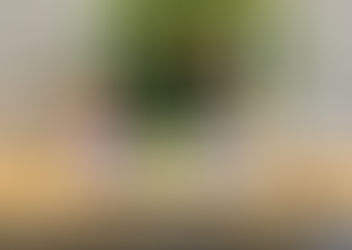 The Tasting Room’s Favorite Wines for Thanksgiving