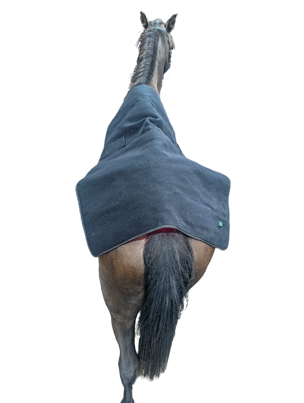Rear view of a brown horse wearing a red light therapy blanket, the GlowLine+ XL made by Northeast EquiWellness
