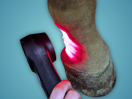 Equine Laser Therapy Quick Start Guide