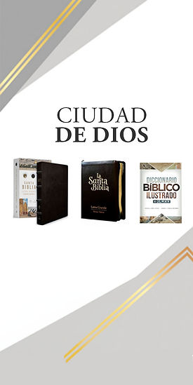 banners principal-02.jpg