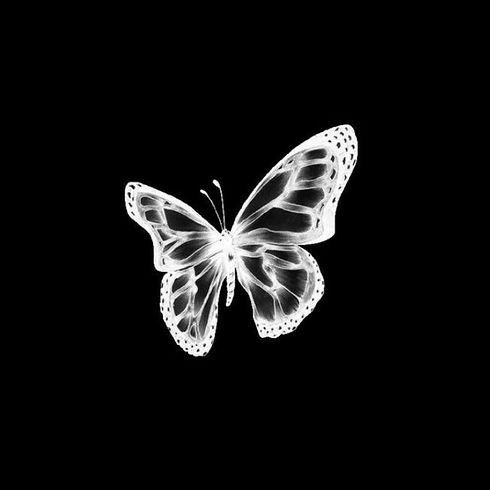 17A9164E-EDFD-4070-B97B-1C0FA70A1422.jpeg