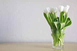 White Tulips.jpg