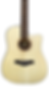 Miniatura: GUITARRA ELECTROACÚSTICA PERSIAN / AF485CE