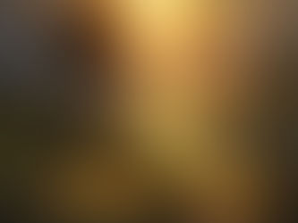 God’s Unfolding Plan of Union and Delight