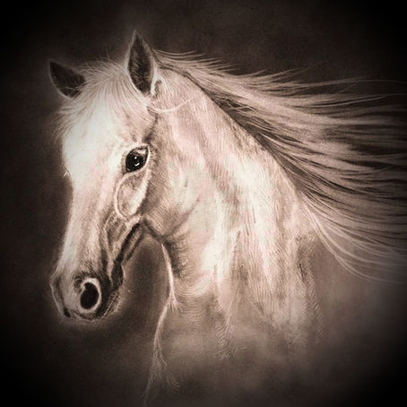 Drawing of horse with pencil and charcoal